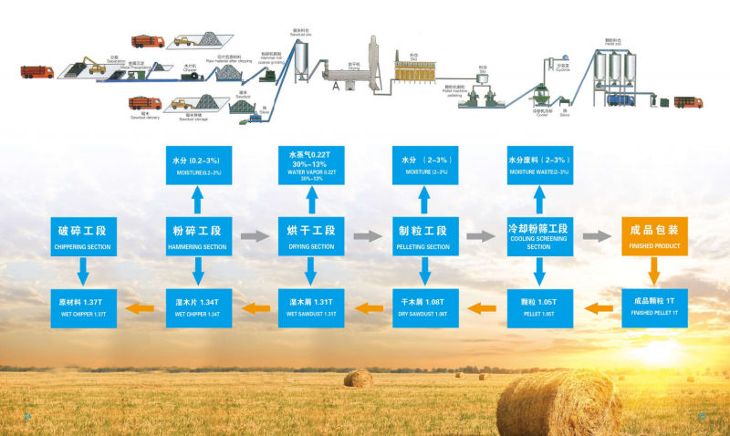 新球体育  宣传册_13 - 副本.png